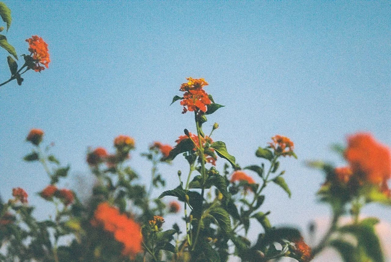 Moumoujus skincare lifestyle — ceramide moisturiser featured product background