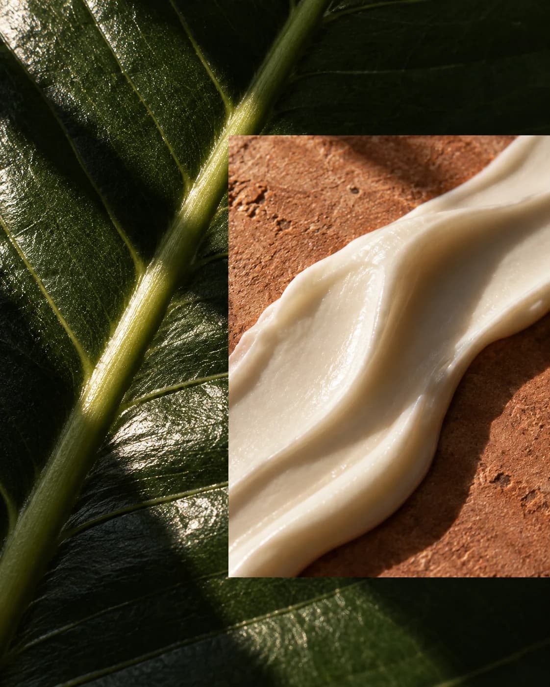 Dark green leaf texture behind an ivory cream ribbon on terracotta stone