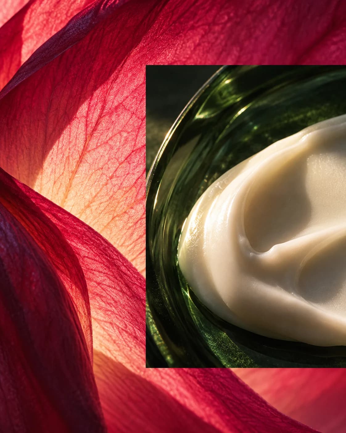 Raspberry-pink petal detail behind a lustrous ivory emulsion scoop on forest-green glass