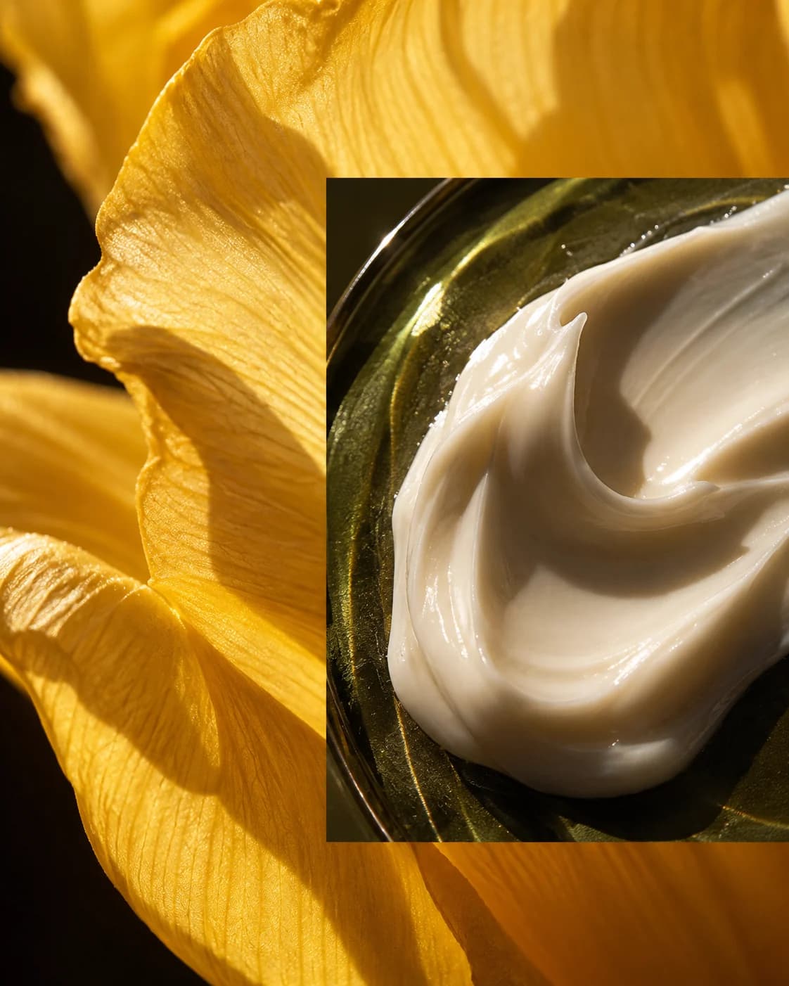 Golden yellow petals behind an ivory emulsion swirl on dark olive glass