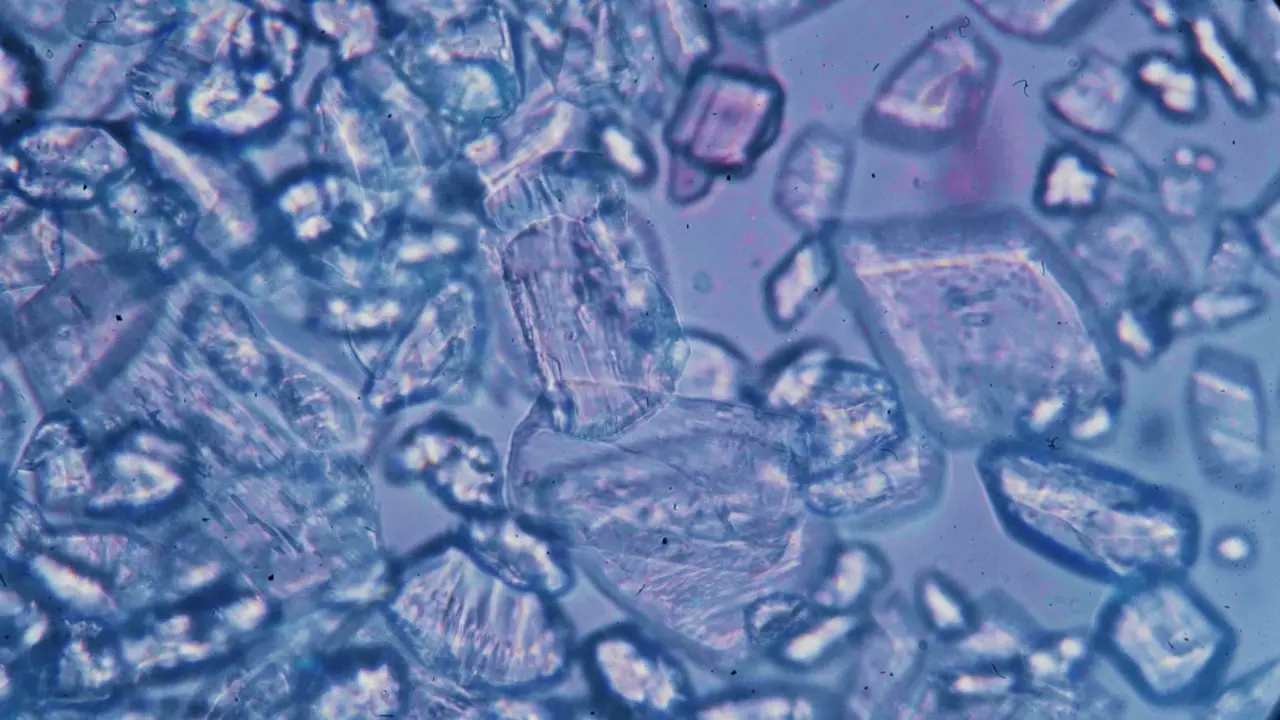 What Is Ectoin? The Extremophyte Ingredient Dermatologists Are Watching